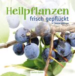 ISBN 9783886279180: Heilpflanzen frisch gepflückt