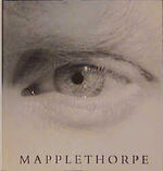 ISBN 9783888144899: Mapplethorpe