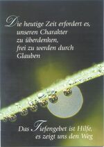 ISBN 9783892011408: Die heutige Zeit erfordert es, unseren Charakter zu überdenken, frei zu werden durch Glauben - Das Tiefengebet ist Hilfe, es zeigt uns den Weg (K453)