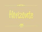 ISBN 9783892221203: Horizonte.