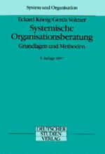 Systemische Organisationsberatung