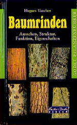 Baumrinden - Aussehen, Struktur, Funktion, Eigenschaften