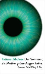 ISBN 9783895612336: Der Sommer, als Mutter grüne Augen hatte