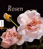 Paul Starosta: Rosen
