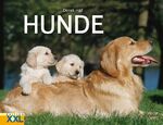 ISBN 9783897363403: Hunde