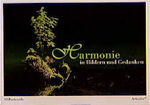 ISBN 9783897437555: Harmonie