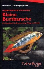 Amerikanische Cichliden: 1., Kleine Buntbarsche