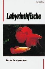 ISBN 9783897451209: Labyrinthfische - Farbe im Aquarium