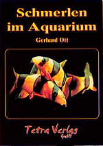 Schmerlen im Aquarium