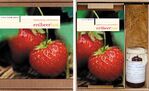 ISBN 9783897695498: Erdbeerlust - Ein literarischer und kulinarischer Erdbeer-Cocktail