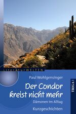 Der Condor kreist nicht mehr – Dämonen im Alltag. Kurzgeschichten