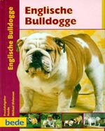 Englische Bulldogge