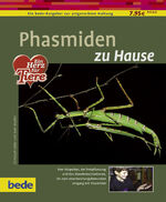 ISBN 9783898601429: Phasmiden zu Hause