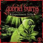 ISBN 9783899455441: Gabriel Burns - CDs / Experiment Stille