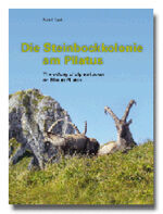 ISBN 9783905914023: Die Steinbockkolonie am Pilatus /The colony of alpine ibexes on Mount Pilatus