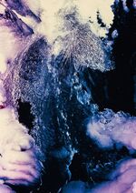 Andreas Züst: Pursuit of Wonders / Andre