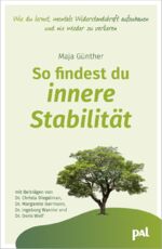 ISBN 9783910253032: So findest du innere Stabilität - Wie du mentale Widerstandskraft und emotionale Resilienz aufbaust und nie wieder verlierst. Mit Beiträgen von Dr. Christa Diegelmann, Dr. Margarete Isermann, Dr. Ingeborg Warnke und Dr. Doris Wolf