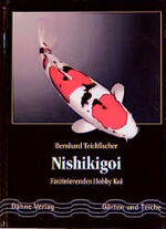 Nishikigoi – Faszinierendes Hobby Koi