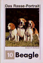 ISBN 9783924008413: Beagle-Portrait