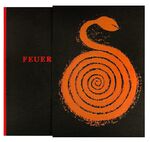 ISBN 9783927840539: Feuerland – Ein Fahrtenbuch