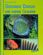 ISBN 9783927997080: Gesunde Diskus und Gross Cichliden