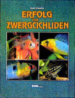 ISBN 9783927997165: Erfolg mit Zwergcichliden