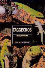 Taggeckos im Terrarium