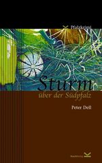 ISBN 9783930927913: Sturm über der Südpfalz