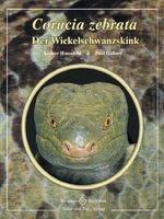 Corucia zebrata – Der Wickelschwanzskink