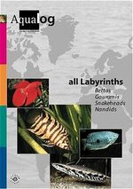 ISBN 9783931702212: Aqualog. Reference fish of the world / All Labyrinths – Bettas, Gouramis, Nandids