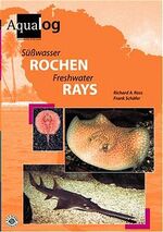 Süßwasser-Rochen