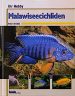 ISBN 9783931792251: Ihr Hobby: Malawiseecichliden