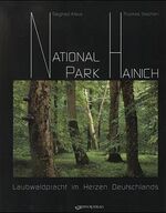 Nationalpark Hainich – Laubwaldpracht im Herzen Deutschlands