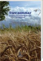 ISBN 9783933119551: Torr sommar und andere schwedische Erzählungen: und andere schwedische Erzählungen im Originaltext
