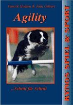 Agility - Schritt für Schritt