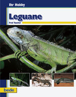 ISBN 9783933646187: Leguane, Ihr Hobby