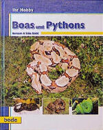 ISBN 9783933646392: Boas und Pythons, Ihr Hobby