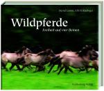 Duelmener Wildpferde