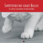 ISBN 9783934887480: Samtpfötchen und scharfe Krallen - Ein zärtliches Sammelsurium für alle Katzenliebhaber (2 CD´s)