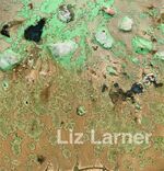 ISBN 9783935567916: Liz Larner