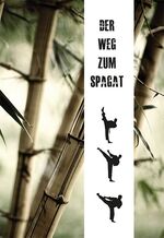 ISBN 9783936457667: Der Weg zum Spagat