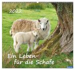 ISBN 9783936673760: Wandkalender 2022 - Ein Leben für die Schafe