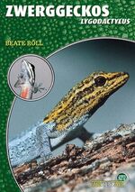 ISBN 9783937285160: Zwerggeckos - Lygodactylus