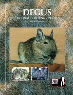 ISBN 9783937285535: Degus – Biologie, Haltung, Zucht