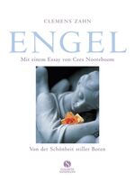 ISBN 9783938045015: Engel - Von der Schönheit stiller Boten