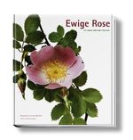 ISBN 9783938100141: Ewige Rose: Ein immer währender Kalender.