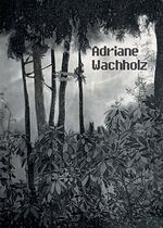 ISBN 9783938370438: Adriane Wachholz