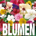 ISBN 9783939128632: Cube Book. Blumen [Gebundene Ausgabe] Ovidio Guaita (Autor), Valeria Manferto De Fabianis (Autor)