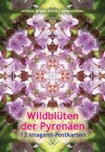 ISBN 9783939272021: Wildblüten der Pyrenäen. 12 imagami -Postkarten