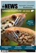 ISBN 9783939759324: NEWS Bookazine - Nr. 3 (Herbst 2017)